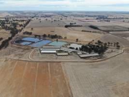 Aerial view - From drone - Captured at Midland Bacon, Carag Carag VIC Australia.