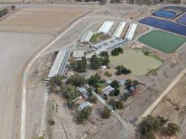 Aerial view - From drone - Captured at Midland Bacon, Carag Carag VIC Australia.