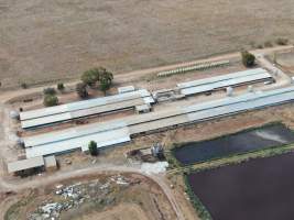 Aerial view - From drone - Captured at Rivalea grower piggery, Girgarre VIC Australia.