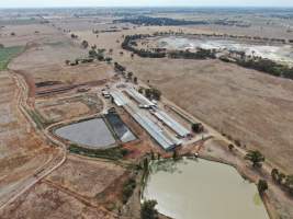 Aerial view - From drone - Captured at Rivalea grower piggery, Girgarre VIC Australia.