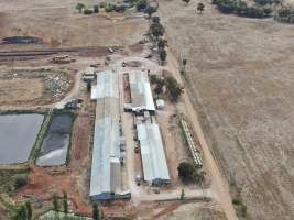 Aerial view - From drone - Captured at Rivalea grower piggery, Girgarre VIC Australia.