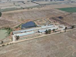 Aerial view - From drone - Captured at Rivalea grower piggery, Girgarre VIC Australia.