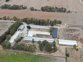 Aerial view - From drone - Captured at Markanda Piggery, Wyuna East VIC Australia.