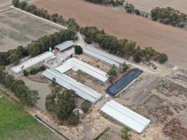 Aerial view - From drone - Captured at Markanda Piggery, Wyuna East VIC Australia.