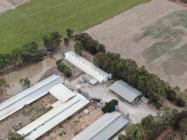 Aerial view - From drone - Captured at Markanda Piggery, Wyuna East VIC Australia.