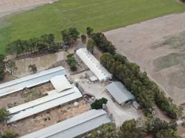 Aerial view - From drone - Captured at Markanda Piggery, Wyuna East VIC Australia.