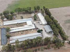 Aerial view - From drone - Captured at Markanda Piggery, Wyuna East VIC Australia.