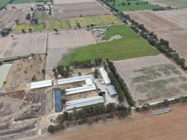 Aerial view - From drone - Captured at Markanda Piggery, Wyuna East VIC Australia.