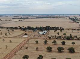 Aerial view - From drone - Captured at Unknown piggery, Tongala VIC Australia.
