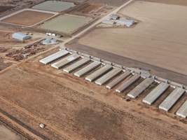 Aerial view - From drone - Captured at Southern Banks Piggery, Torrumbarry VIC Australia.