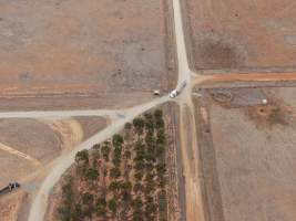 Aerial view - From drone - Captured at Patho Piggery, Patho VIC Australia.