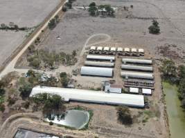 Aerial view - From drone - Captured at Calivil Breeder, Calivil VIC Australia.