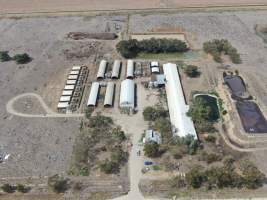 Aerial view - From drone - Captured at Calivil Breeder, Calivil VIC Australia.