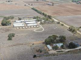 Aerial view - From drone - Captured at Calivil Breeder, Calivil VIC Australia.