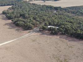 Aerial view - From drone - Captured at Unknown piggery, Goornong VIC Australia.
