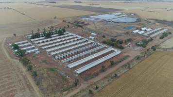 Drone flyover of piggery - Captured at Wasleys Piggery, Pinkerton Plains SA Australia.