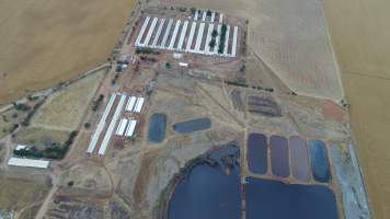 Drone flyover of piggery - Captured at Wasleys Piggery, Pinkerton Plains SA Australia.