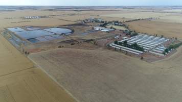 Drone flyover of piggery - Wasleys is one of the largest piggeries in South Australia. - Captured at Wasleys Piggery, Pinkerton Plains SA Australia.