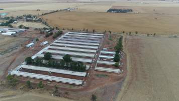 Drone flyover of piggery - Wasleys is one of the largest piggeries in South Australia. - Captured at Wasleys Piggery, Pinkerton Plains SA Australia.