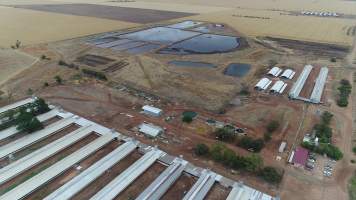 Drone flyover of piggery - Wasleys is one of the largest piggeries in South Australia. - Captured at Wasleys Piggery, Pinkerton Plains SA Australia.