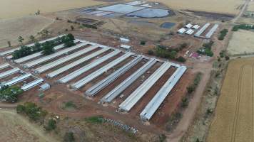 Drone flyover of piggery - Wasleys is one of the largest piggeries in South Australia. - Captured at Wasleys Piggery, Pinkerton Plains SA Australia.