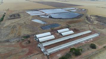 Drone flyover of piggery - Wasleys is one of the largest piggeries in South Australia. - Captured at Wasleys Piggery, Pinkerton Plains SA Australia.