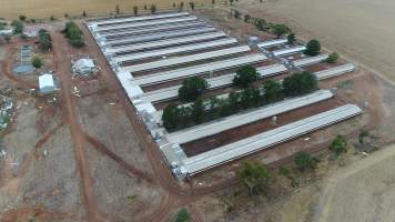 Drone flyover of piggery - Wasleys is one of the largest piggeries in South Australia. - Captured at Wasleys Piggery, Pinkerton Plains SA Australia.