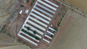 Drone flyover of piggery - Wasleys is one of the largest piggeries in South Australia. - Captured at Wasleys Piggery, Pinkerton Plains SA Australia.