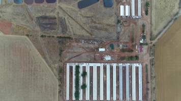 Drone flyover of piggery - Wasleys is one of the largest piggeries in South Australia. - Captured at Wasleys Piggery, Pinkerton Plains SA Australia.