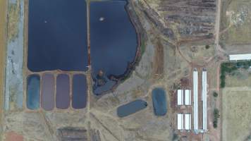 Drone flyover of piggery - Wasleys is one of the largest piggeries in South Australia. - Captured at Wasleys Piggery, Pinkerton Plains SA Australia.