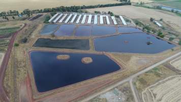 Drone flyover of piggery - Sheaoak is one of the largest piggeries in South Australia, spread over multiple 'modules'. - Captured at Sheaoak Piggery, Shea-Oak Log SA Australia.