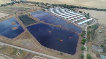 Drone flyover of piggery - Sheaoak is one of the largest piggeries in South Australia, spread over multiple 'modules'. - Captured at Sheaoak Piggery, Shea-Oak Log SA Australia.