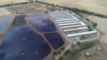 Drone flyover of piggery - Sheaoak is one of the largest piggeries in South Australia, spread over multiple 'modules'. - Captured at Sheaoak Piggery, Shea-Oak Log SA Australia.