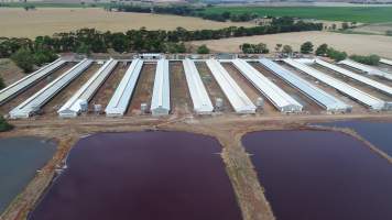 Drone flyover of piggery - Sheaoak is one of the largest piggeries in South Australia, spread over multiple 'modules'. - Captured at Sheaoak Piggery, Shea-Oak Log SA Australia.