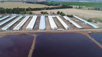 Drone flyover of piggery - Sheaoak is one of the largest piggeries in South Australia, spread over multiple 'modules'. - Captured at Sheaoak Piggery, Shea-Oak Log SA Australia.