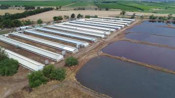 Drone flyover of piggery - Sheaoak is one of the largest piggeries in South Australia, spread over multiple 'modules'. - Captured at Sheaoak Piggery, Shea-Oak Log SA Australia.