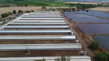 Drone flyover of piggery - Sheaoak is one of the largest piggeries in South Australia, spread over multiple 'modules'. - Captured at Sheaoak Piggery, Shea-Oak Log SA Australia.