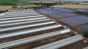 Drone flyover of piggery - Sheaoak is one of the largest piggeries in South Australia, spread over multiple 'modules'. - Captured at Sheaoak Piggery, Shea-Oak Log SA Australia.