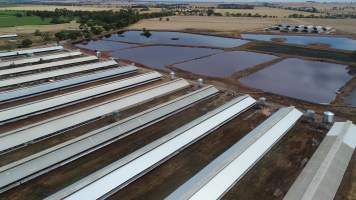 Drone flyover of piggery - Sheaoak is one of the largest piggeries in South Australia, spread over multiple 'modules'. - Captured at Sheaoak Piggery, Shea-Oak Log SA Australia.