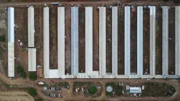 Drone flyover of piggery - Sheaoak is one of the largest piggeries in South Australia, spread over multiple 'modules'. - Captured at Sheaoak Piggery, Shea-Oak Log SA Australia.