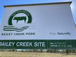 Captured at Bailey Creek Piggeries, Mulgildie QLD Australia.