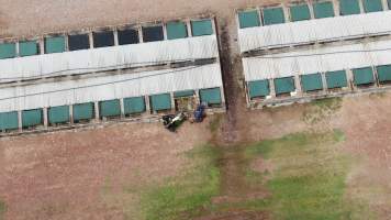 Crocodile removed from cage for slaughter - Drone flyover of Darwin Crocodile Farm, Bees Creek NT. - Captured at Darwin Crocodile Farm (Porosus), Palmerston City NT Australia.