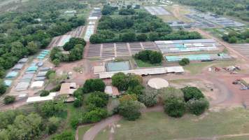 Crocodile farm - wide view - Drone flyover of Darwin Crocodile Farm, Bees Creek NT. - Captured at Darwin Crocodile Farm (Porosus), Palmerston City NT Australia.