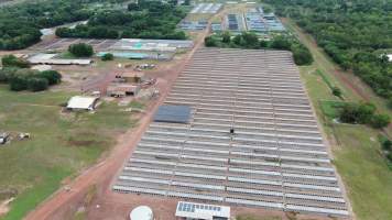 Crocodile cages - wide view - Drone flyover of Darwin Crocodile Farm, Bees Creek NT. - Captured at Darwin Crocodile Farm (Porosus), Palmerston City NT Australia.