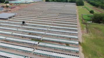 Crocodile cages - Drone flyover of Darwin Crocodile Farm, Bees Creek NT. - Captured at Darwin Crocodile Farm (Porosus), Palmerston City NT Australia.