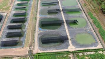 Crocodile group housing - Drone flyover of Darwin Crocodile Farm, Bees Creek NT. - Captured at Darwin Crocodile Farm (Porosus), Palmerston City NT Australia.