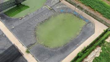 Crocodile group housing - Drone flyover of Darwin Crocodile Farm, Bees Creek NT. - Captured at Darwin Crocodile Farm (Porosus), Palmerston City NT Australia.