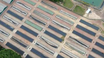 Crocodile cages - Drone flyover of Darwin Crocodile Farm, Bees Creek NT. - Captured at Darwin Crocodile Farm (Porosus), Palmerston City NT Australia.