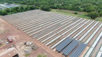 Crocodile cages - wide view - Drone flyover of Darwin Crocodile Farm, Bees Creek NT. - Captured at Darwin Crocodile Farm (Porosus), Palmerston City NT Australia.