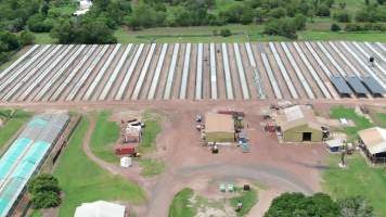 Crocodile cages - wide view - Drone flyover of Darwin Crocodile Farm, Bees Creek NT. - Captured at Darwin Crocodile Farm (Porosus), Palmerston City NT Australia.